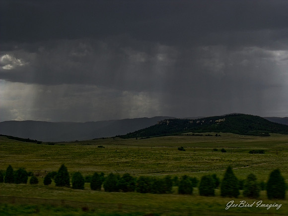 DSCF0556