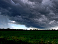 DSCF0023