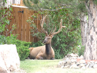 DSCF0484
