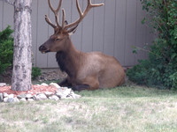 DSCF0488