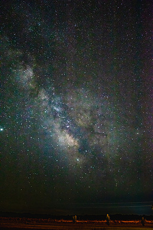 IMG_8729