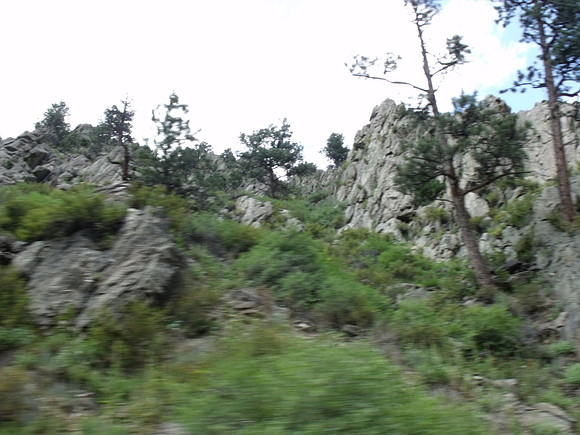 DSCF0123