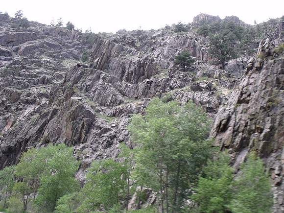 DSCF0117