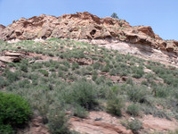 DSCF0097