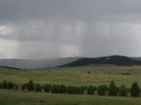DSCF0556