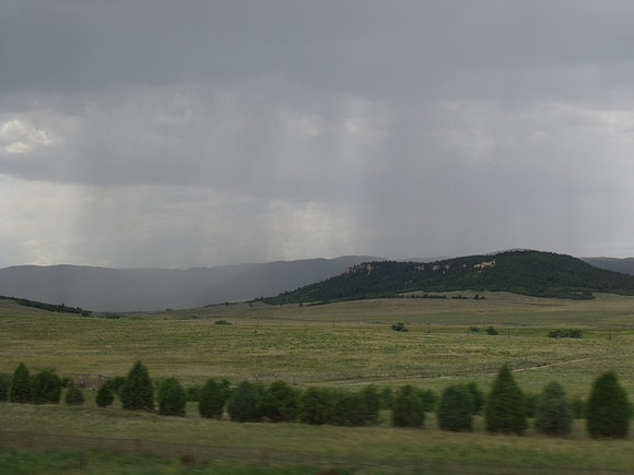 DSCF0556