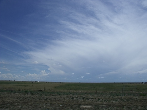 DSCF0877