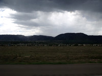 DSCF0567
