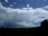 DSCF0580
