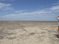 DSCF0002
