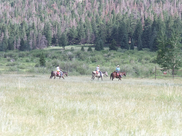 DSCF0230
