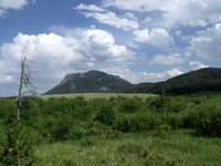 DSCF0231