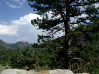DSCF0233