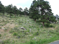 DSCF0221