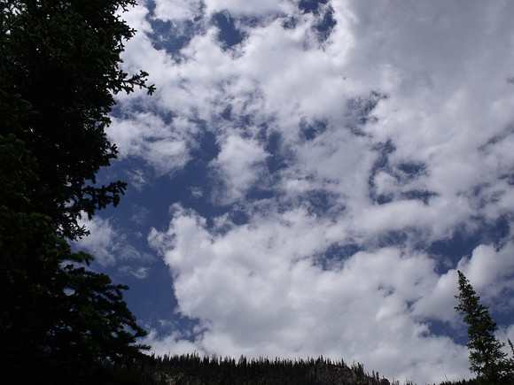 DSCF0394