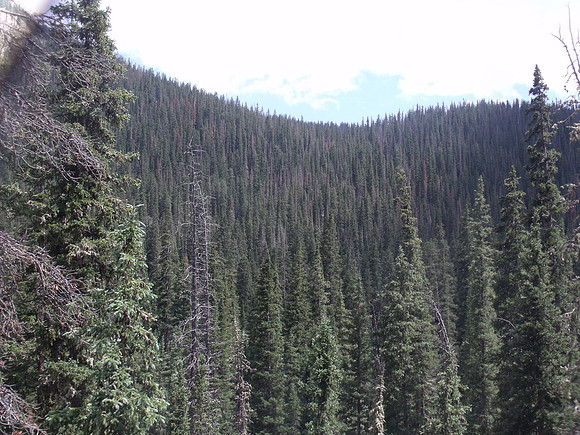 DSCF0396