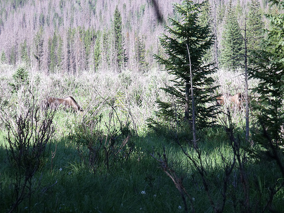 DSCF0431