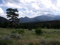 DSCF0218