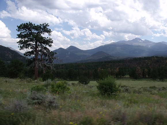 DSCF0218