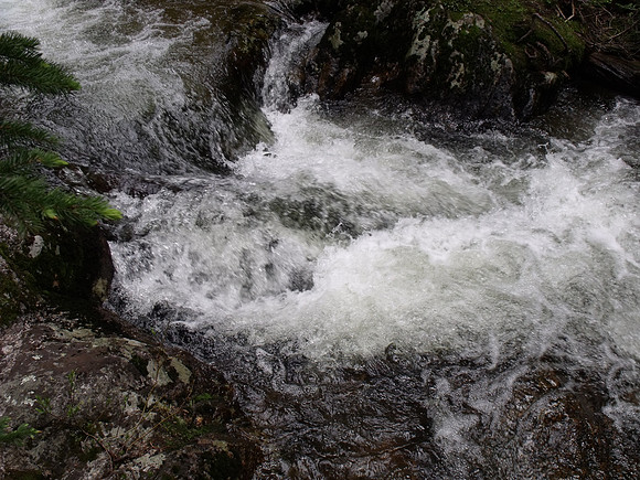 DSCF0373