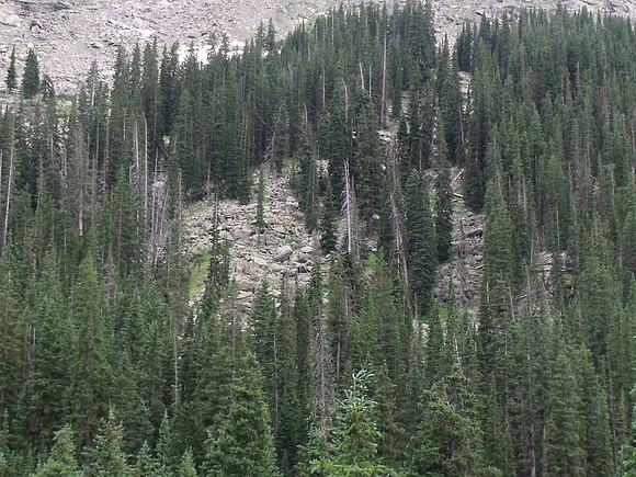 DSCF0411