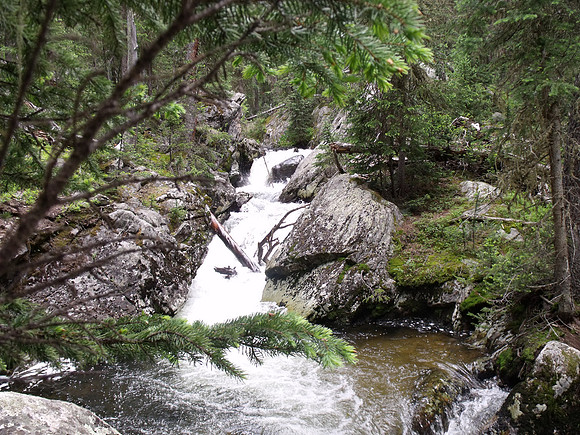 DSCF0372