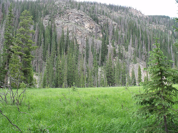 DSCF0383