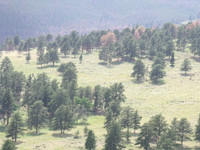 DSCF0222