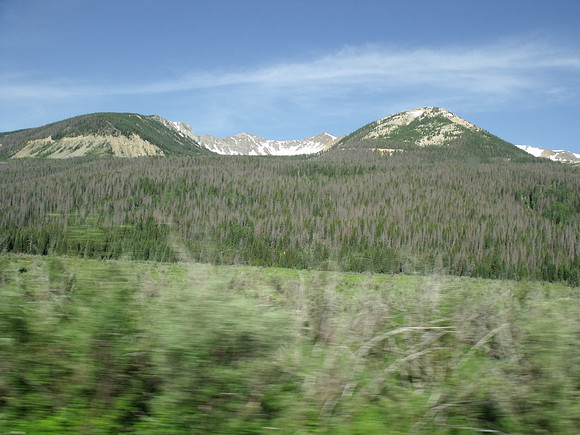 DSCF0342