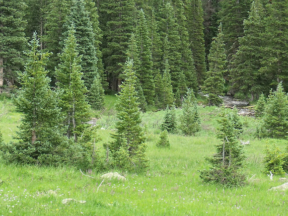 DSCF0410
