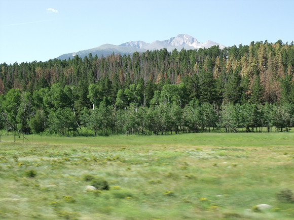 DSCF0482