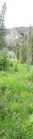 DSCF0389