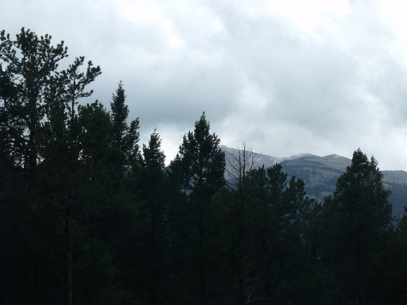 DSCF0627