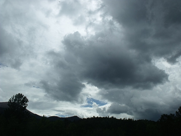 DSCF0637